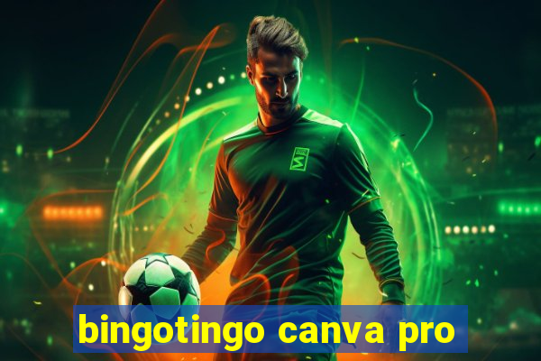 bingotingo canva pro